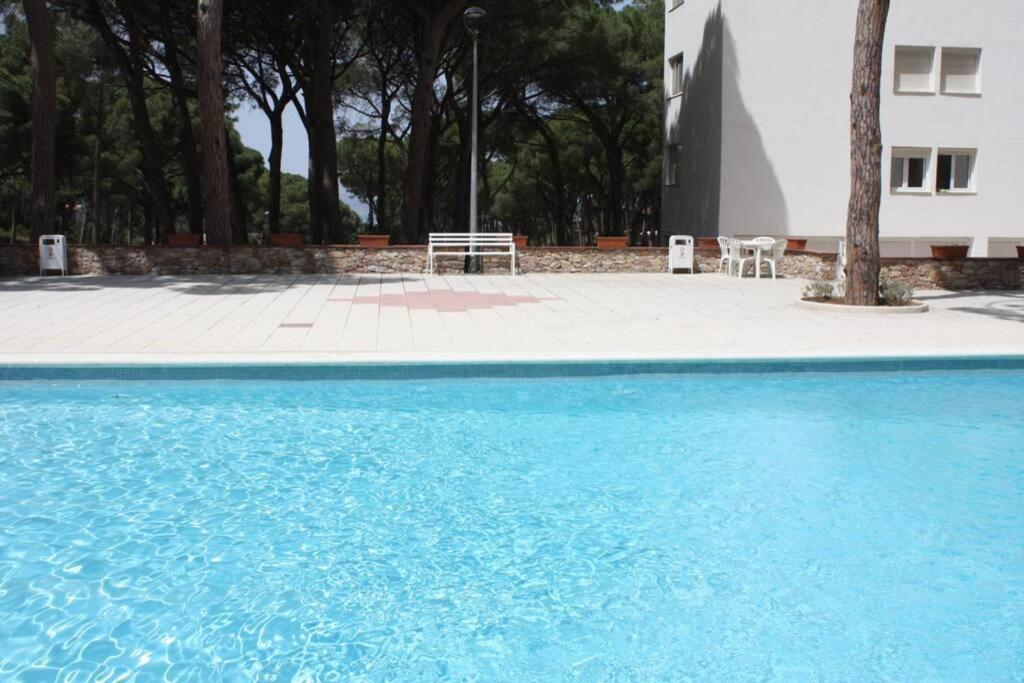 Precioso Apartamento Con Piscina. 帕尔斯 外观 照片