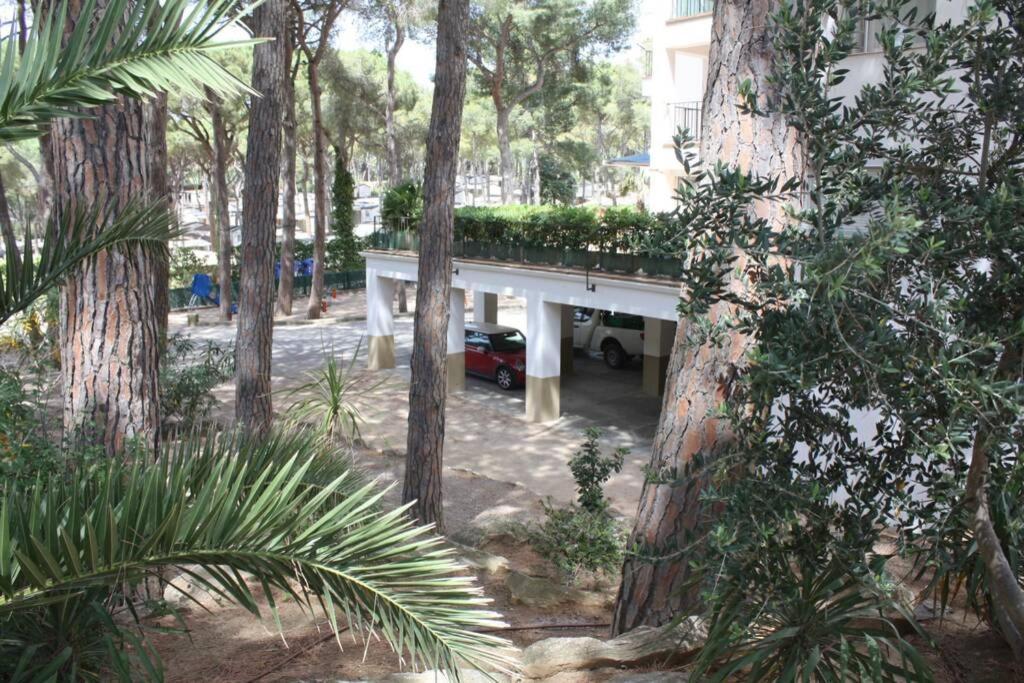 Precioso Apartamento Con Piscina. 帕尔斯 外观 照片